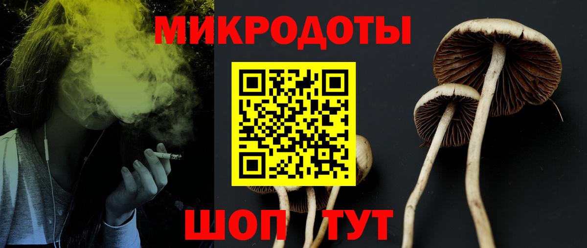Добрянка  Галлюциногенные грибы Psilocybine cubensis  Вход с VPN 